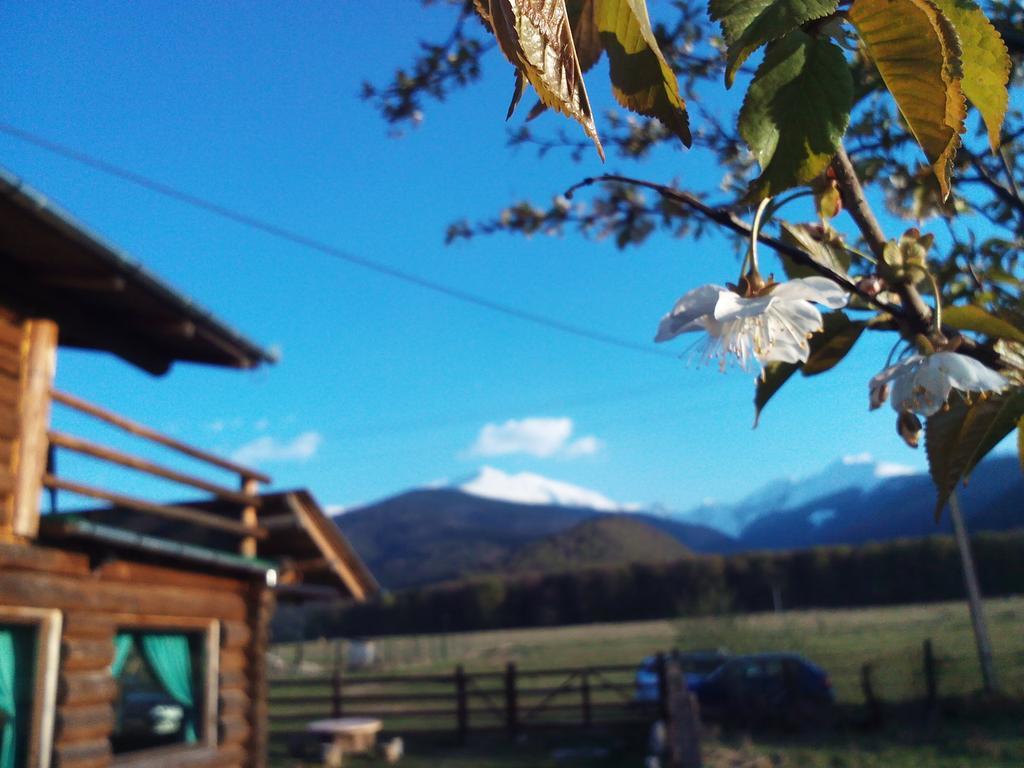 Casa Muntelui - Sambata Pensionat Sîmbăta de Sus Exteriör bild
