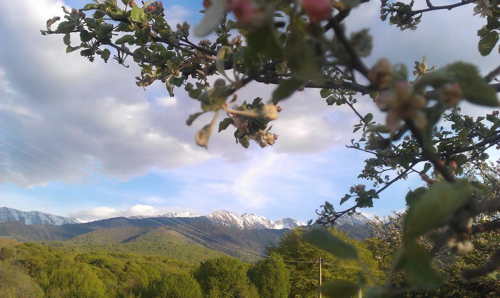 Casa Muntelui - Sambata Pensionat Sîmbăta de Sus Exteriör bild